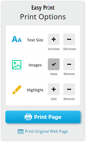 Easy Print print options panel